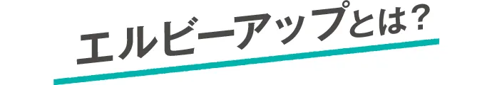 エルビーアップとは？